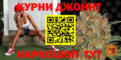крисы Ирбит