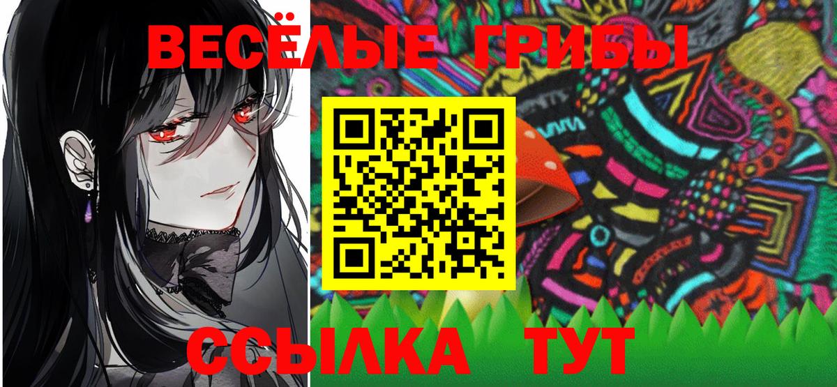 Псилоцибиновые грибы GOLDEN TEACHER Кропоткин