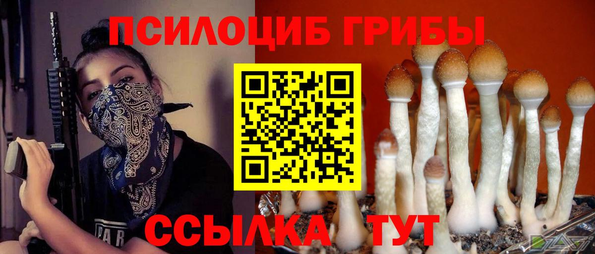 Галлюциногенные грибы GOLDEN TEACHER  Вход с VPN  Кропоткин 